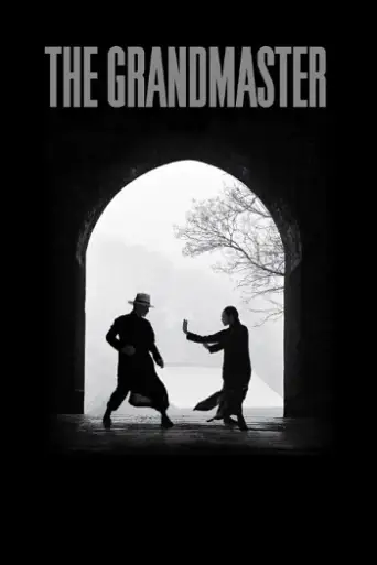 The Grandmaster (2013) BluRay [Hindi (DD2.0) & English] 1080p 720p & 480p Dual Audio [x264]