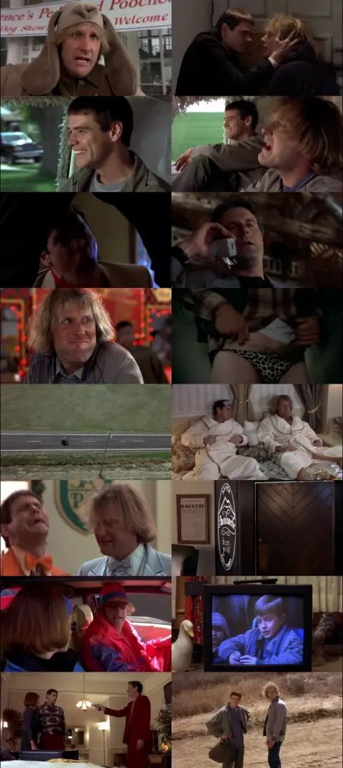 Still 1 of Dumb and Dumber (1994) BluRay [Hindi (DD5.1) & English] 1080p 720p & 480p Dual Audio [x264]