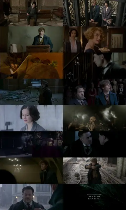 Still 1 of Fantastic Beasts and Where to Find Them (2016) BluRay [Hindi (DD5.1 & English] 1080p 720p & 480p Dual Audio [x264
