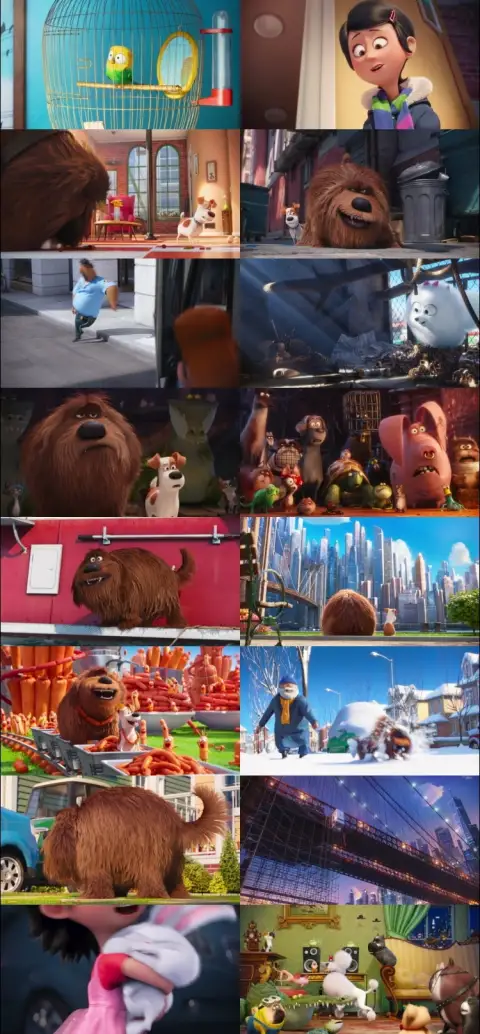 Still 1 of The Secret Life of Pets (2016) BluRay [Hindi (DD5.1) & English] 1080p 720p & 480p Dual Audio [x264]