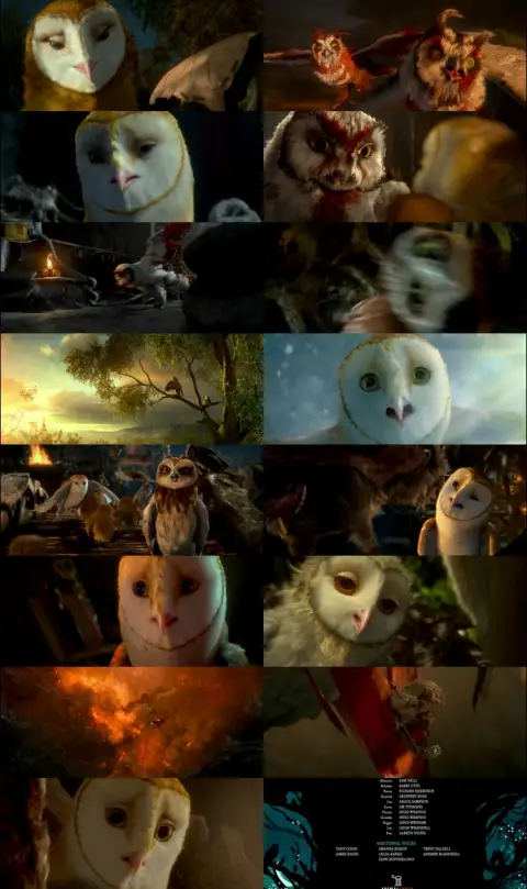 Still 1 of Legend of the Guardians: The Owls of Ga’Hoole (2010) WEB-DL [Hindi (DD5.1) & English] 1080p 720p & 480p Dual Audio [x264/ESubs]
