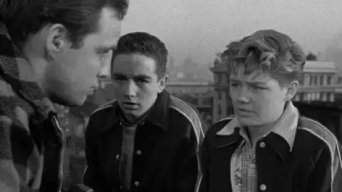Still 2 of On the Waterfront (1954) WEB-DL [Hindi (DD5.1) & English] 1080p 720p & 480p Dual Audio [x264/ESubs]