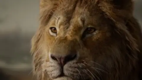 Still 5 of The Lion King (2019) BluRay [Hindi (ORG 2.0) & English] 4K 1080p 720p & 480p [x264/10Bit-HEVC]