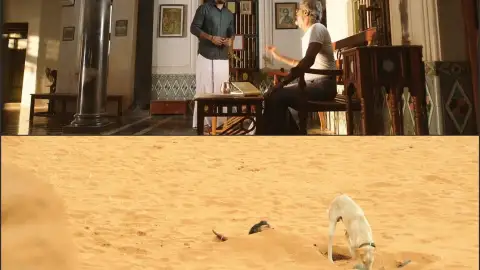Still 1 of Namma Veettu Pillai (2019) UNCUT WEB-DL Dual Audio [Hindi & Tamil] 720p 480p x264 HD