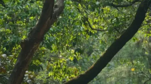 Still 4 of Shastry Virudh Shastry (2023) WEB-DL [Hindi DD5.1] 1080p 720p & 480p [x264/ESubs]